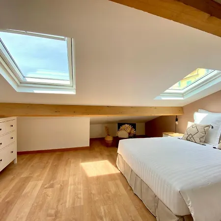 公寓 Montee Fleurie 芒通